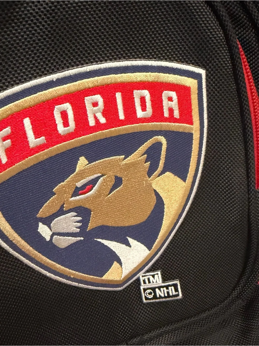 Florida Panthers NHL hockey MOJO Black Premium Backpack